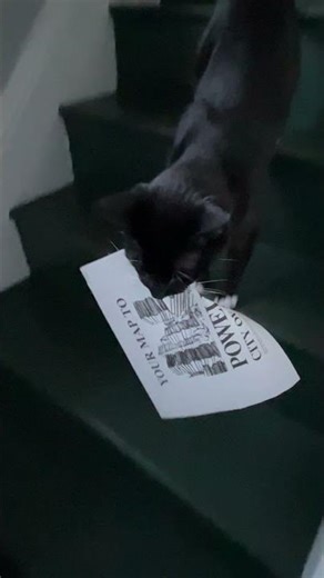 Harpo With a Map to the Biggest and Best Bookstore in the World