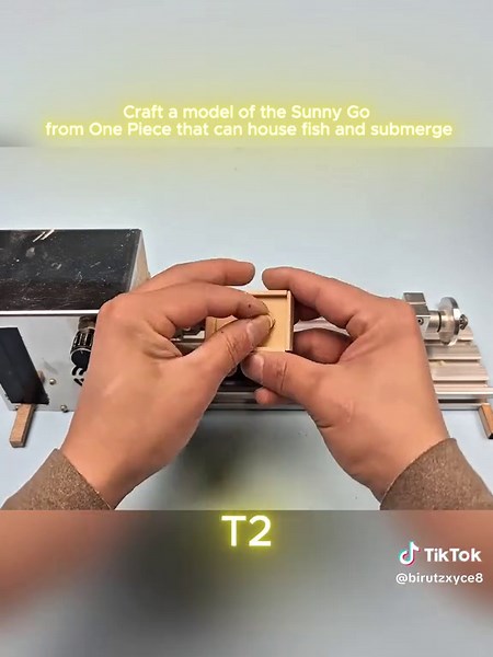 Build a Sunny Go Fish Model from One Piece