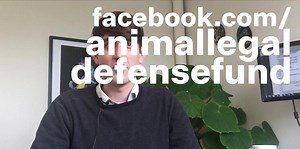 CASE UPDATE: In October 2017, we filed a lawsuit against a puppy mill in California called California Carolina Dogs. Get recent updates from the case from staff attorney Christopher Berry! | Animal Legal Defense Fund
