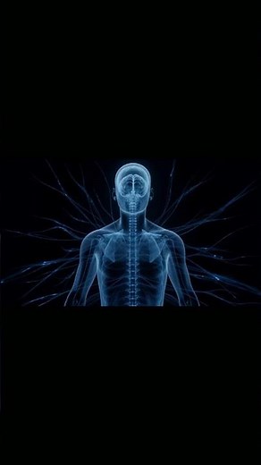 Pessimism = a protective function of the body...