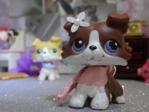 LPS Series-Other Way Around #7-Rivalry War