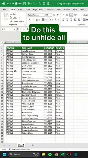 Excel Experts Use THIS Trick to Hide Rows & Columns Quickly