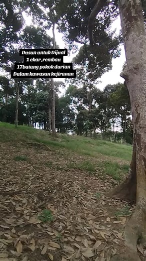 Dusun Durian Dijual di Rembau - 1 Ekar, Akses Mudah