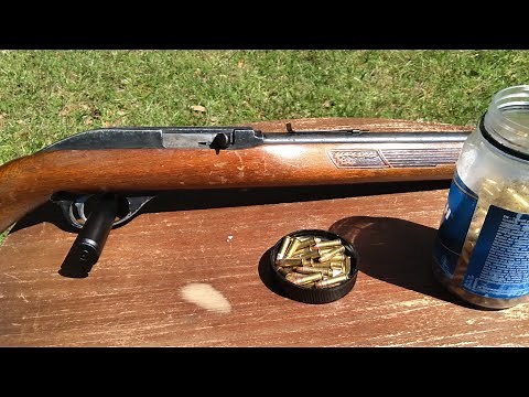 Marlin Glenfield Model 60 22LR