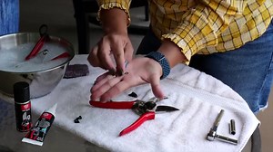How to Clean & Sharpen Your Felco Pruners