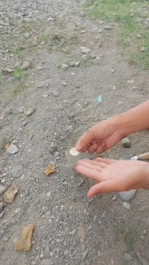 I found 10peso phillipines coin. #coins #facebookreels #virals #metaldetectors | GO finder