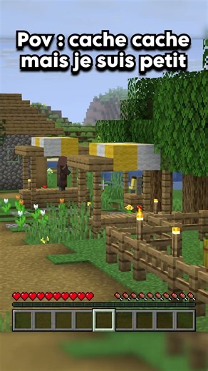 Minecraft cache cache petit 2