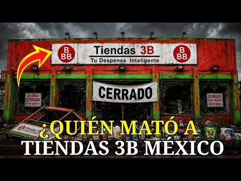 Hated by Supermarkets, Loved by Mexico: The Hidden Truth of Tiendas 3B