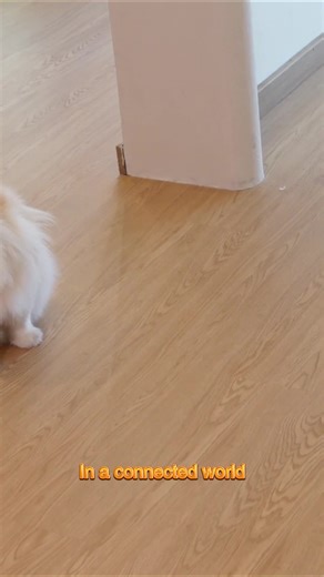 Your 24/7 Confidant. #AICompanion #cat #offlineAI #Smartpet #kickstarter