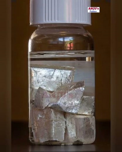 Sodium With Water // Activity 4.5 Class 8 Chapter 4 #shorts #anjus_science