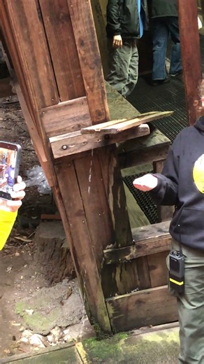 Mystery Spot a must visit place