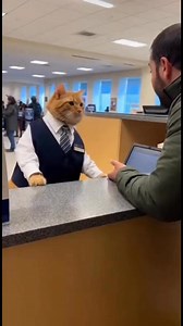 Forgot PIN, blamed bank 😭 | Cat Fun Zone