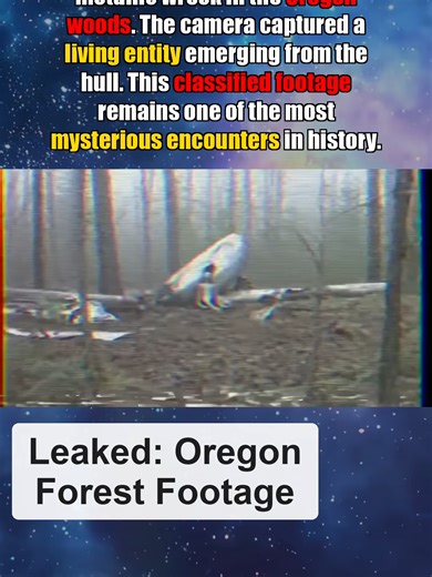 In November of 1994, timber cruiser Marcus Vance was surveying a remote section of the Tillamook Forest when he discovered a smoldering, metallic hull… See more