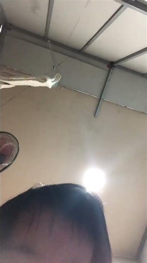 ngày 2 tháng 3, 2026