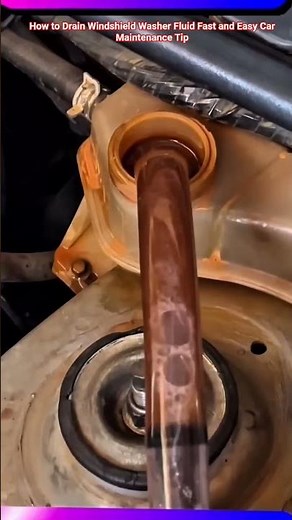 How to Drain Windshield Washer Fluid Fast and Easy Car Maintenance Tips #shorts #tips #mechanic