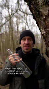 Birch tree sap has been used for centuries in traditional medicine and is known for its many health benefits. It is a #garden #gardening #gardenlife #gardendesign #gardeningtips #gardeninspiration #garden #gardens #gardener #gardenlove #gardeninglife #gardening #gardenideas #gardenlover | Orchid Growing