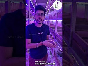 Boost Saffron Growth