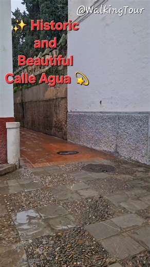 Walking Through Seville’s MOST Secret Romantic Street: Callejon del Agua 🇪🇸 Take a magical, quiet stroll through one of the most beautiful historic and romantic streets in Seville, Spain—Callejon del Agua! ✨ Located in the heart of the ancient Barrio Santa Cruz, this narrow alleyway is famous for its towering, ivy-covered walls, charming architecture, and deep history, where water used to flow along the old city walls. A Must-See in Seville Capital If you are looking for hidden gems in Seville