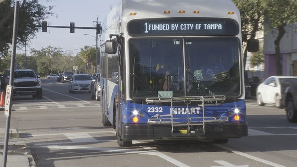 Popular Tampa bus route now free for an entire year