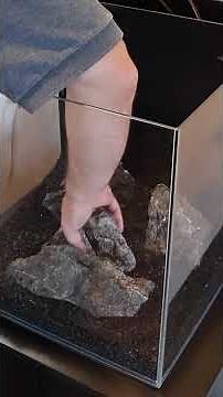 Easy 20 gallon freshwater aquarium setup that anyone could do! #aqualabcreations #aqqa #aquarium