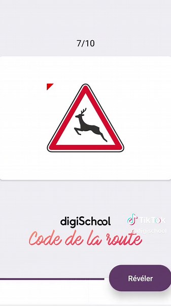 Révise ton code de la route avec digiSchool !