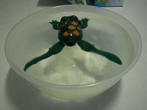 Swimmimg Frog - A toy frog that actually swims like one!