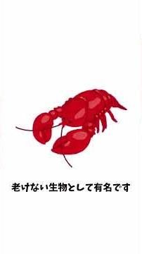 【雑学】誰かに話したくなる雑学