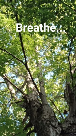 Bass Native American flute, Under the trees