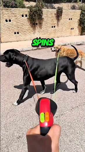 The Best Leash for Dogs! (@usa.bestfriendogs)