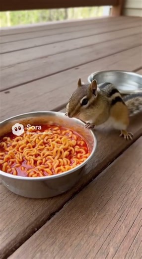 What will happen when a chipmunk tastes spicy ramen for the first time? 🌶🐿️🔥