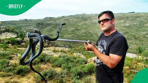 Netizens were stunned as a Facebook video showed a snake giving birth