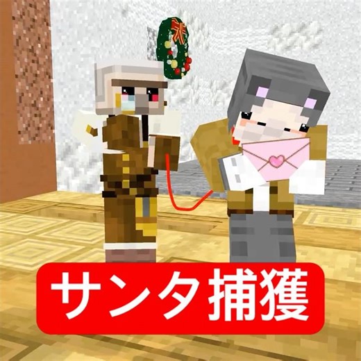 Adults wanting to catch Santa #Minecraft #shortcomedy