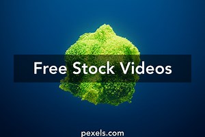 Gut Bacteria Videos, Download The BEST Free 4k Stock Video Footage & Gut Bacteria HD Video Clips