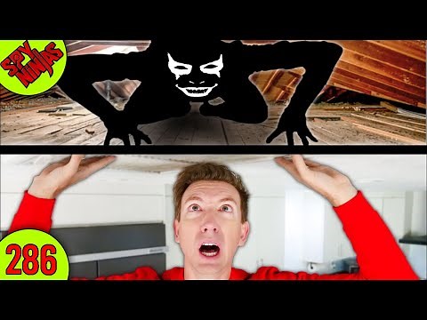 SOMETHING is LIVING in my CEILING - Spy Ninjas #286