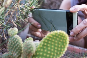 El ajuste para que tus vídeos ocupen la mitad y así ahorrar espacio en el móvil (HEVC/H.265)