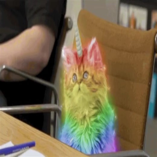 meowscinating! #catcore #hopecore #cats #fyp #lyoshnka | cat