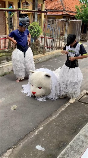 Tutorial cara pakai kostum can macanan