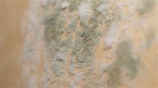 "Eco-Friendly Dehumidifying: 7 Natural Solutions for Your Home