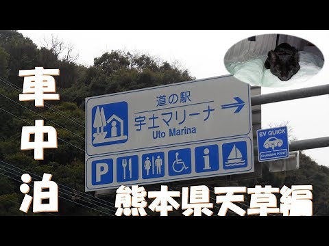 【2024車中泊】第２弾熊本県天草🚙道の駅宇土マリーナ🐶😽🐶
