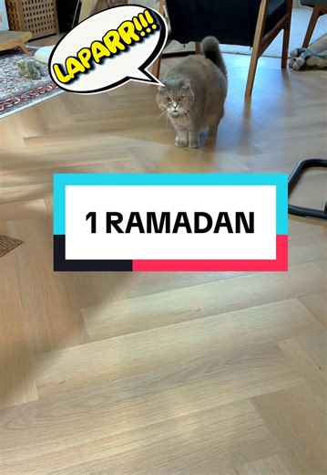 🫣🫣 azan zohor 1 Ramadan #fypシ #duniakucing🐈 #ramadan #1stdaypuasa