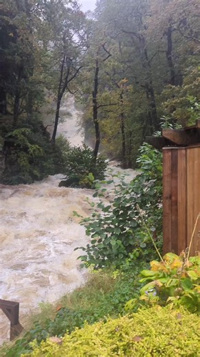 Archie Thompson (@_archie_thompson)’s videos with original sound - Archie Thompson