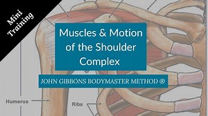 Muscles & Motion of the Shoulder Complex