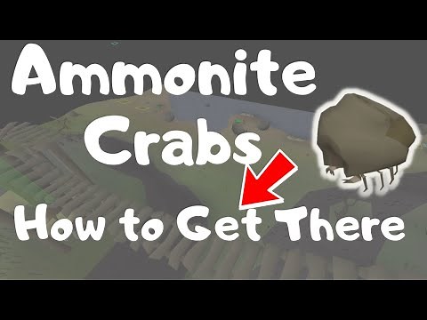 How to Get to Ammonite Crabs in OSRS [WITH and WITHOUT Teleports]