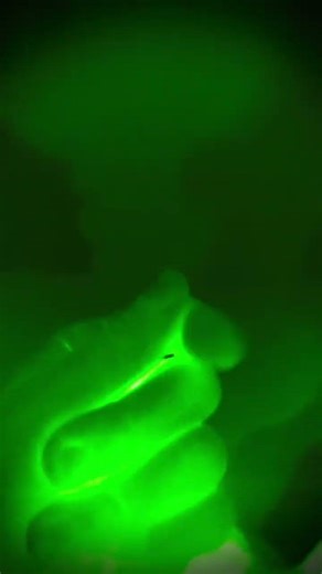 do not turn off the ligths with this filter (flash warning) #lightroom #bigboss #shorts