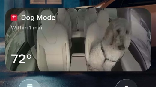 Tesla's Holiday Update Brings A Bunch Of Genuinely Useful Features—And Shows Tesla's Still Got It