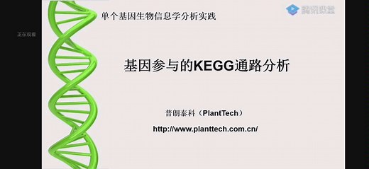 kegg通路分析