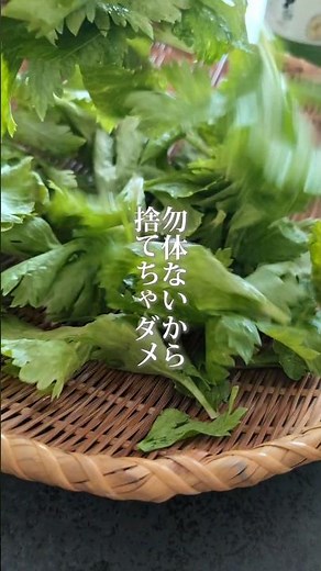 セロリの葉っぱ捨てないで！めんつゆと合わせて絶品ソースに。#セロリ #ミキティママ #東北を1番幸せにしたい料理研究家 #うまい東北応援隊はぴめし