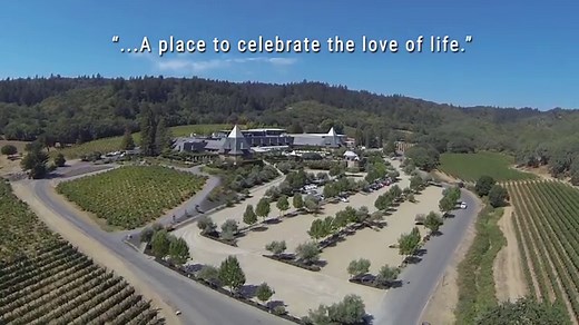Coppola Winery And Vineyard Healdsburg 2026