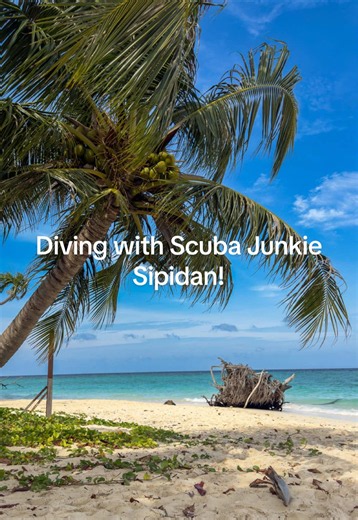 If Sipadan is on your dive bucket list, this is one place we would definitely recommend looking into. 🤿🌴 We spent 8 days and 7 nights at Scuba Junkie’s Mabul Beach Resort, using it as our home base for diving Sipadan and the surrounding islands, and one of our favorite parts was just how easy they make it to build your trip around diving. A few things to know if you’re planning your own stay: 🤿 Scuba Junkie offers dive   accommodation packages that include your stay at Mabul Beach Resort, div