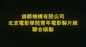 The Story Of Qiu Ju.1992.Цю Цзю идет в суд.суб.китай